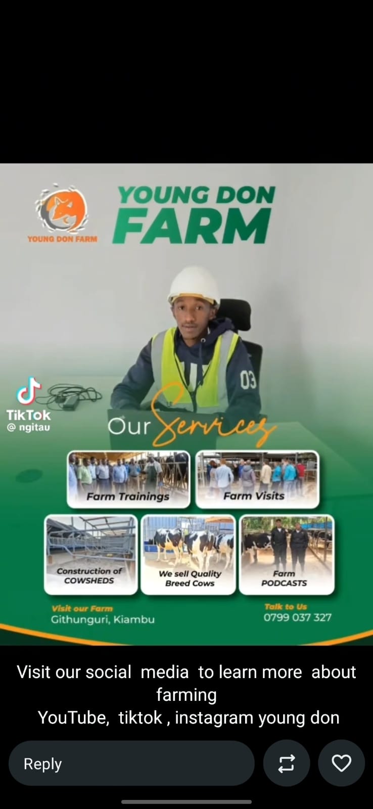 How to Start a Profitable Dairy Farm in Kenya (Beginner’s Guide)